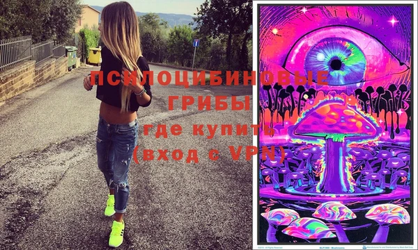 индика Бронницы